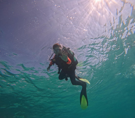 SCUBA DIVING AT MUSAN SCULPTURE PARK