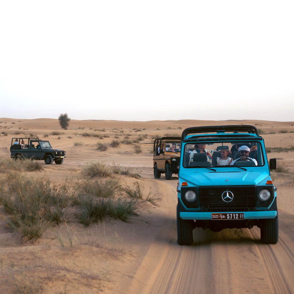 Kombi-Buggy-Safari