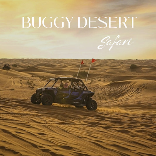 CAN-AM MAVERICK R MAX UND POLARIS RZR PRO R