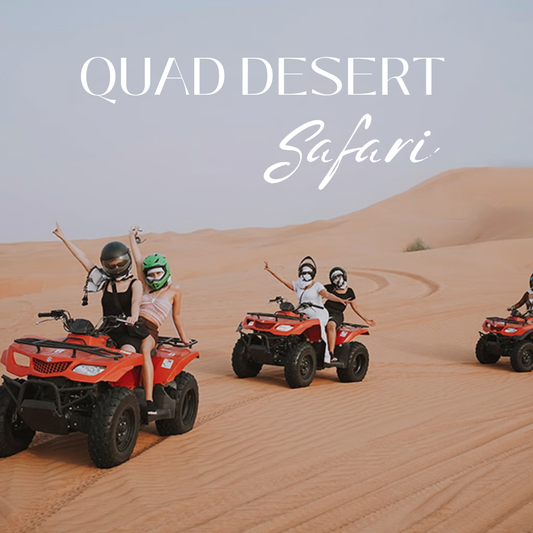 KLASSISCHE BUGGY-SAFARI