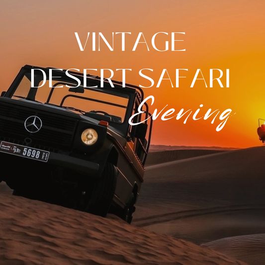 Kombi-Buggy-Safari