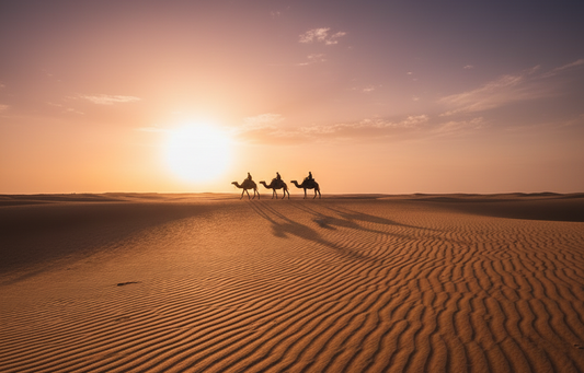 Best Desert Safari Dubai 2025/2026: Guide & Prices