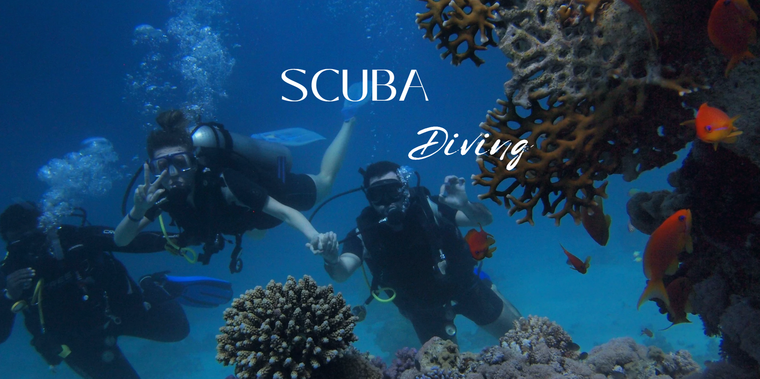 Scuba Diving and Snorkeling in Dubai