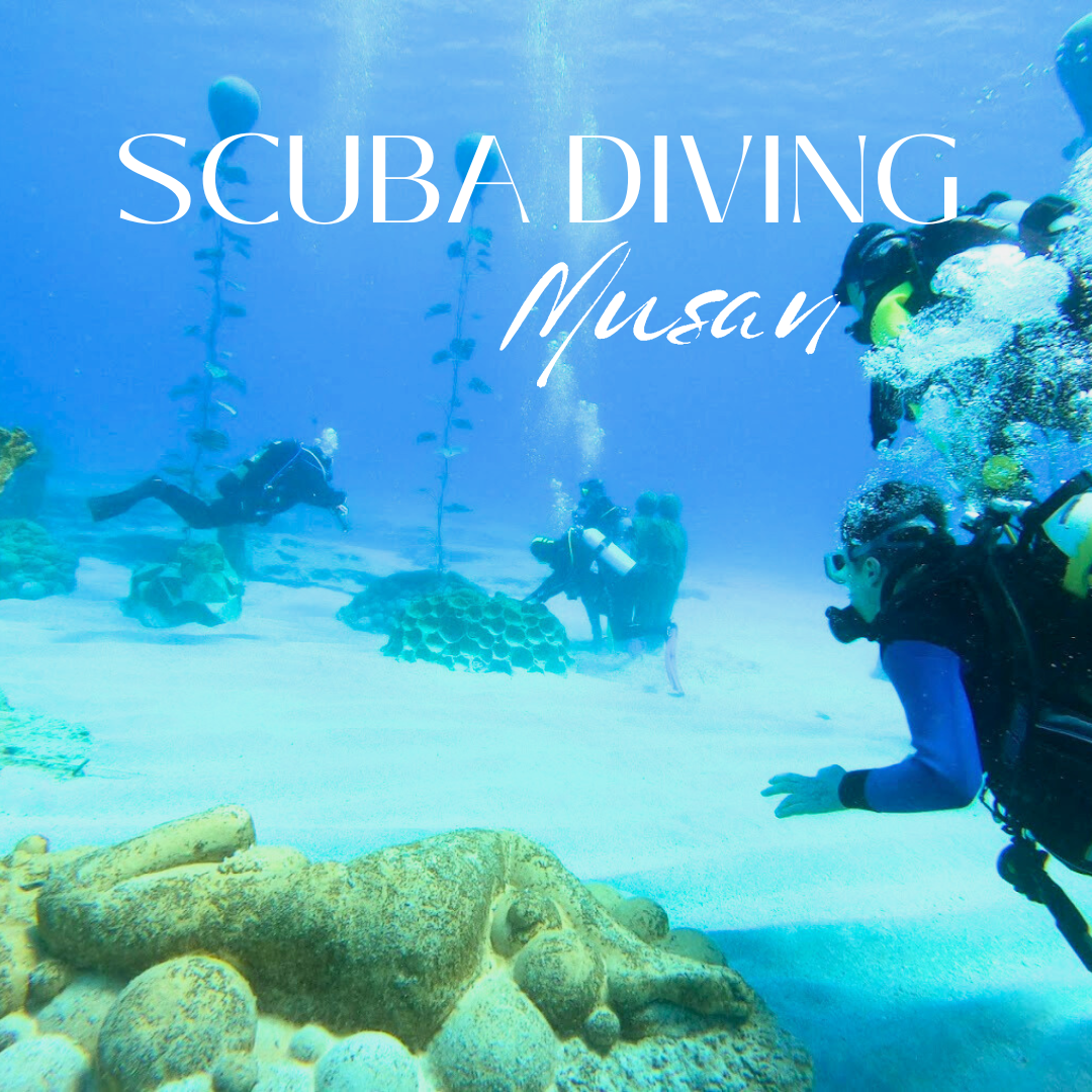 Musan Exercise MUSAN Ayia Napa Scuba Diving | Underwater Museum Try Dive – Clubbing ...