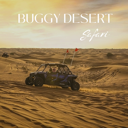 CAN-AM MAVERICK R MAX UND POLARIS RZR PRO R