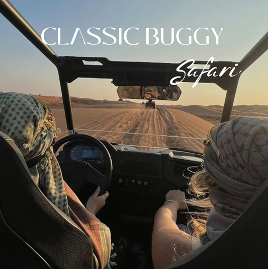 CLASSIC BUGGY SAFARI