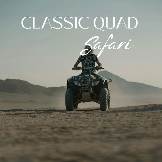 KLASSISCHE QUAD-SAFARI