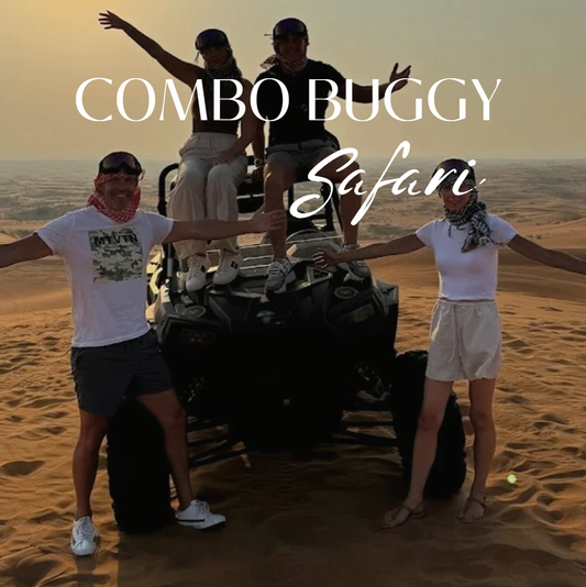 Kombi-Buggy-Safari