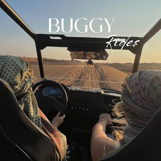 DESERT BUGGY RIDE