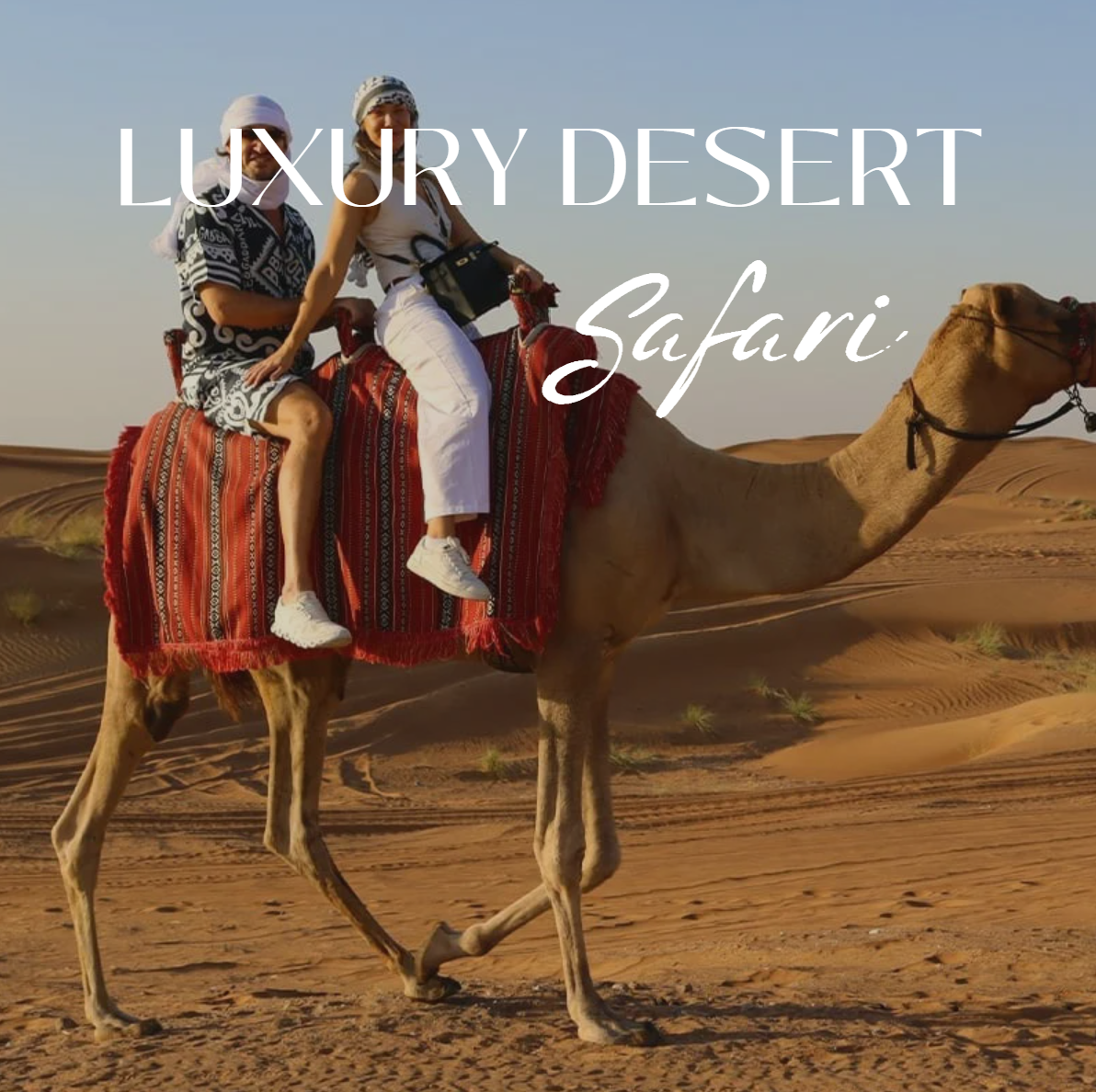 LUXURY DESERT SAFARI