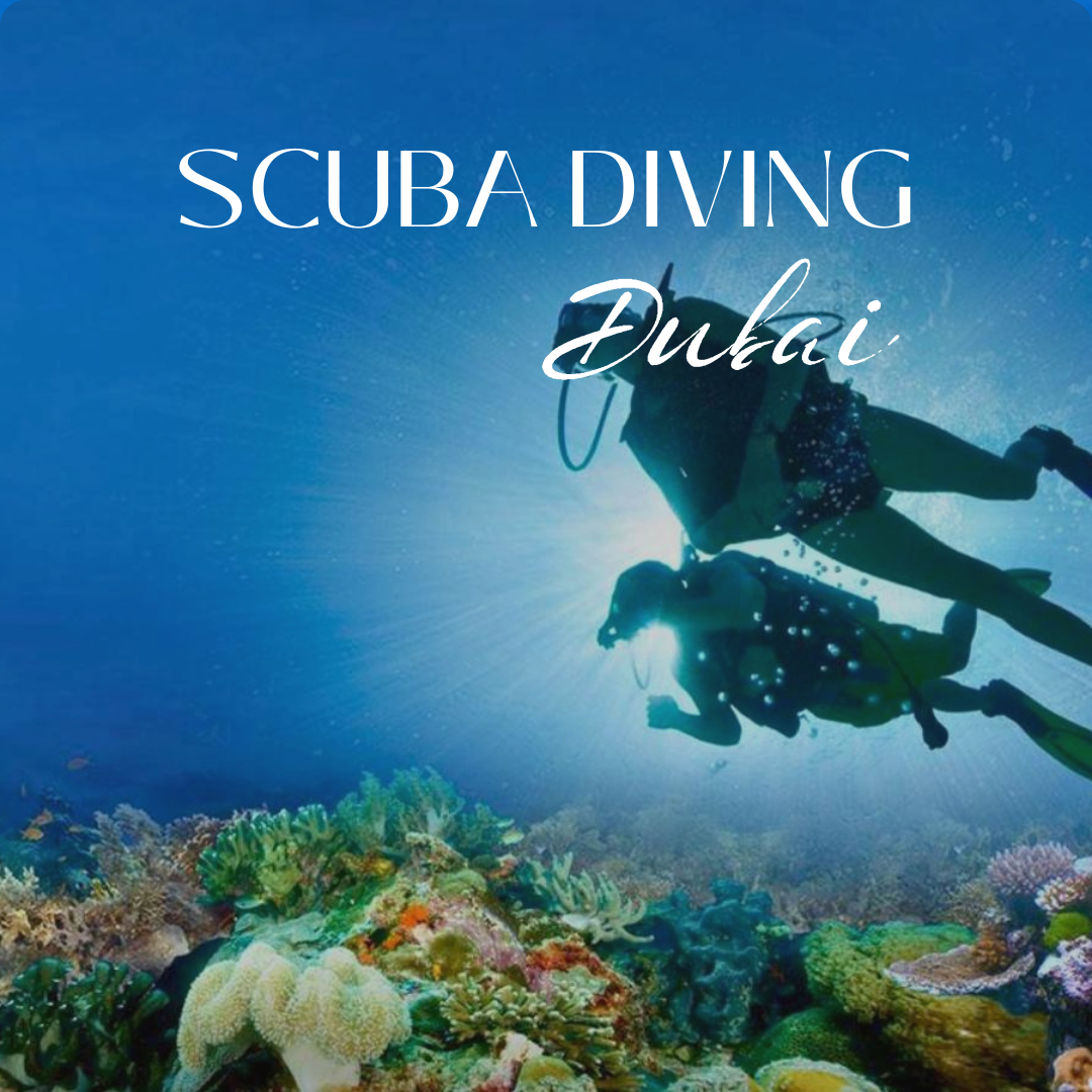 SCUBA DIVING DUBAI