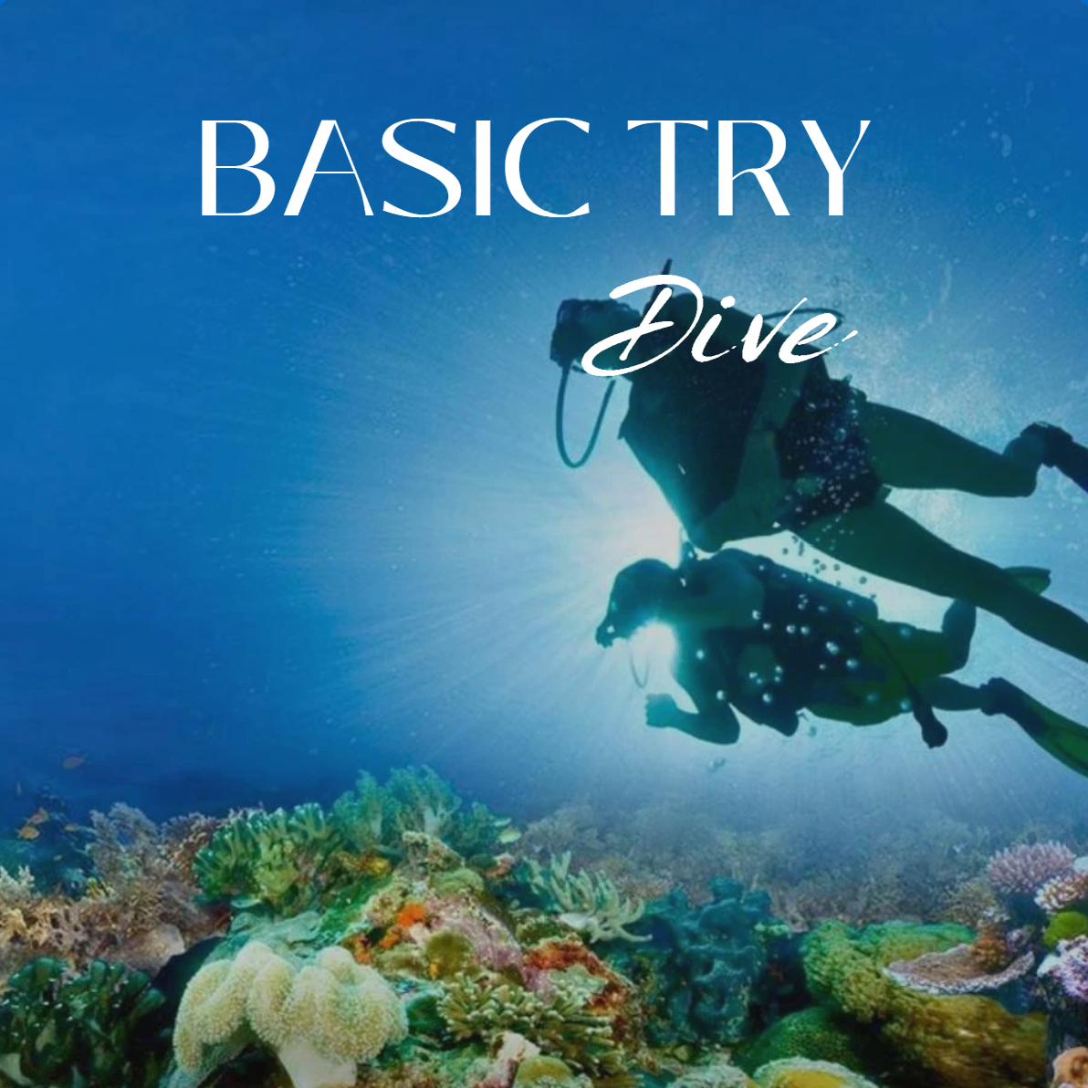 BASIC TRY DIVE