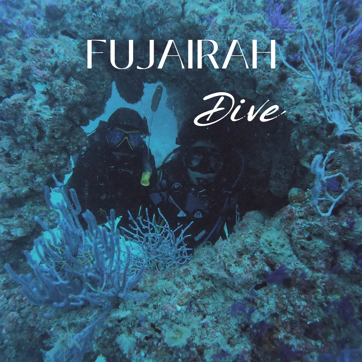 FUJAIRAH DIVE (LICENSED)