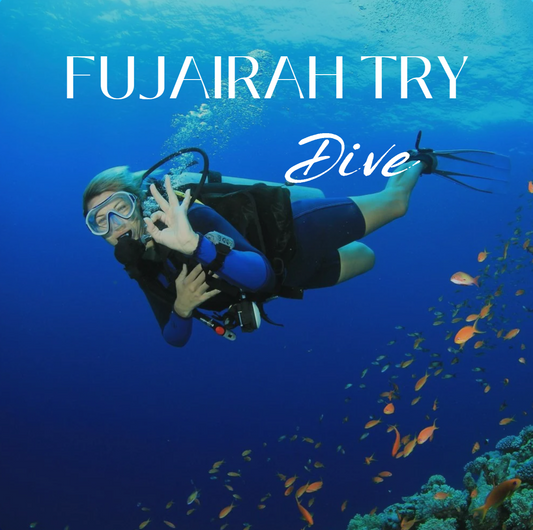 FUJAIRAH TRY DIVE