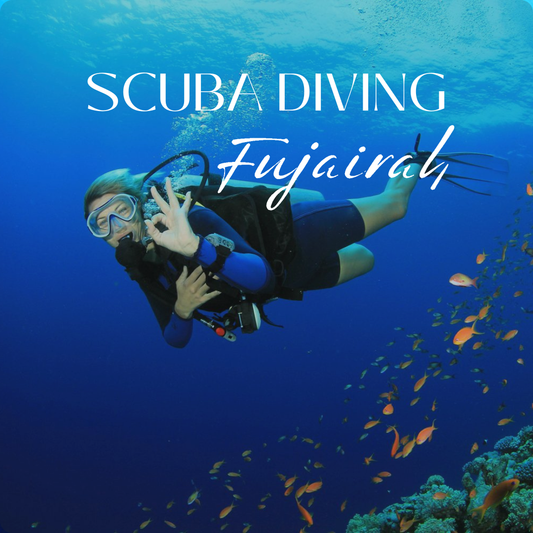 SCUBA DIVING FUJAIRAH