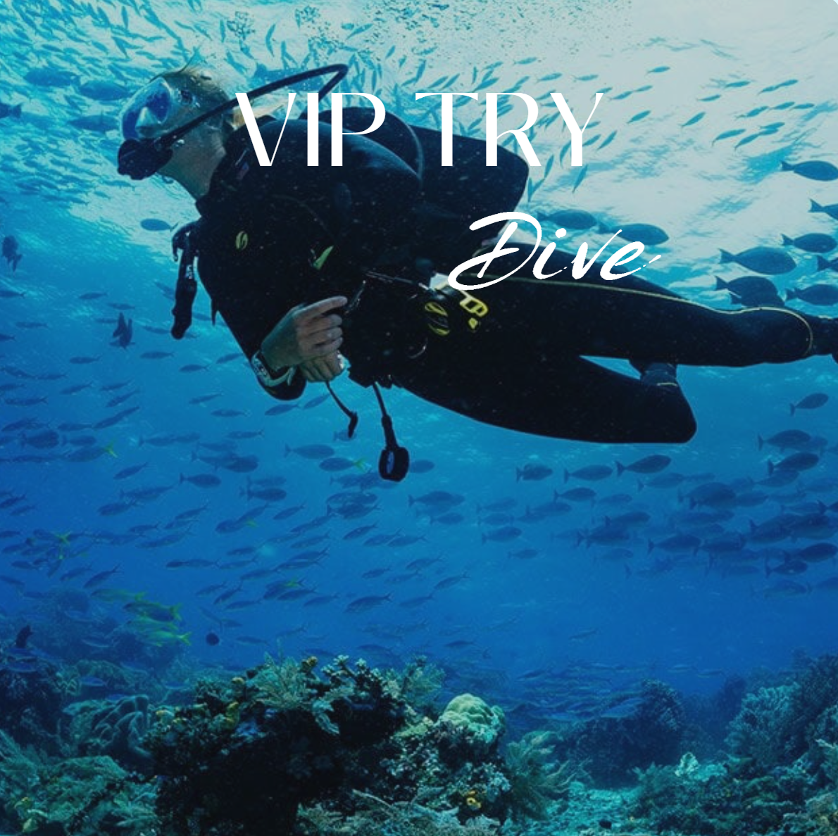 VIP TRY DIVE