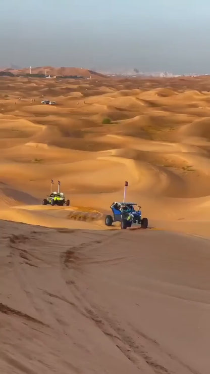 DESERT BUGGY RIDE